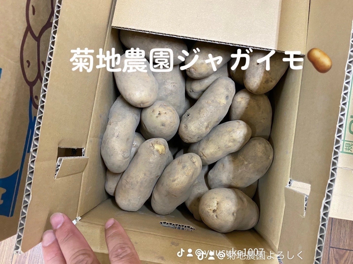 リターン画像