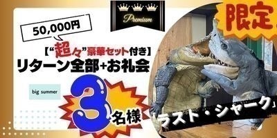 リターン画像