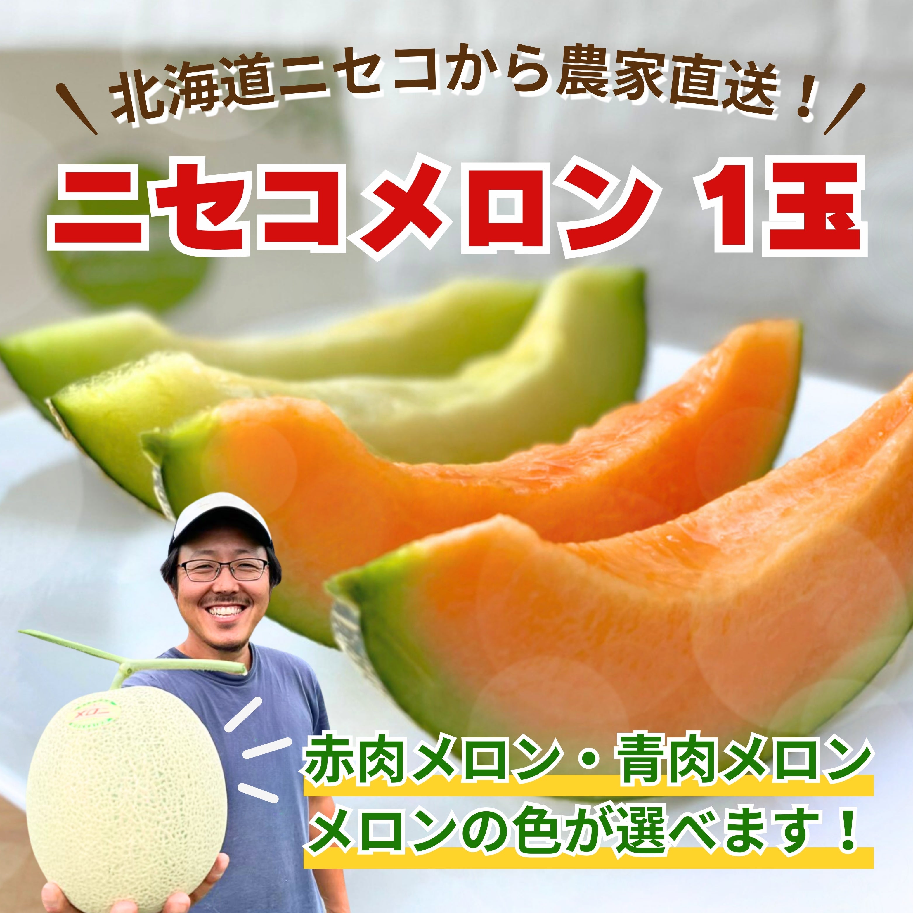 北海道】市場には出回らない絶品メロン！希少なニセコメロンを食べて