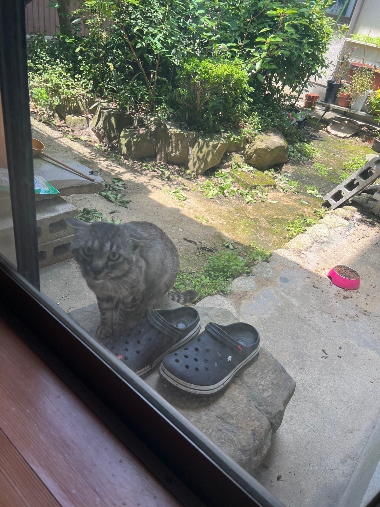 リターン画像