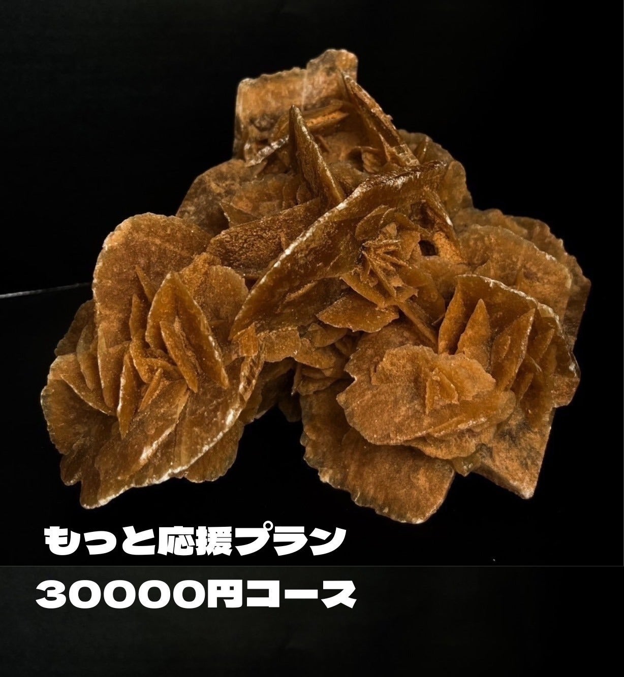 リターン画像