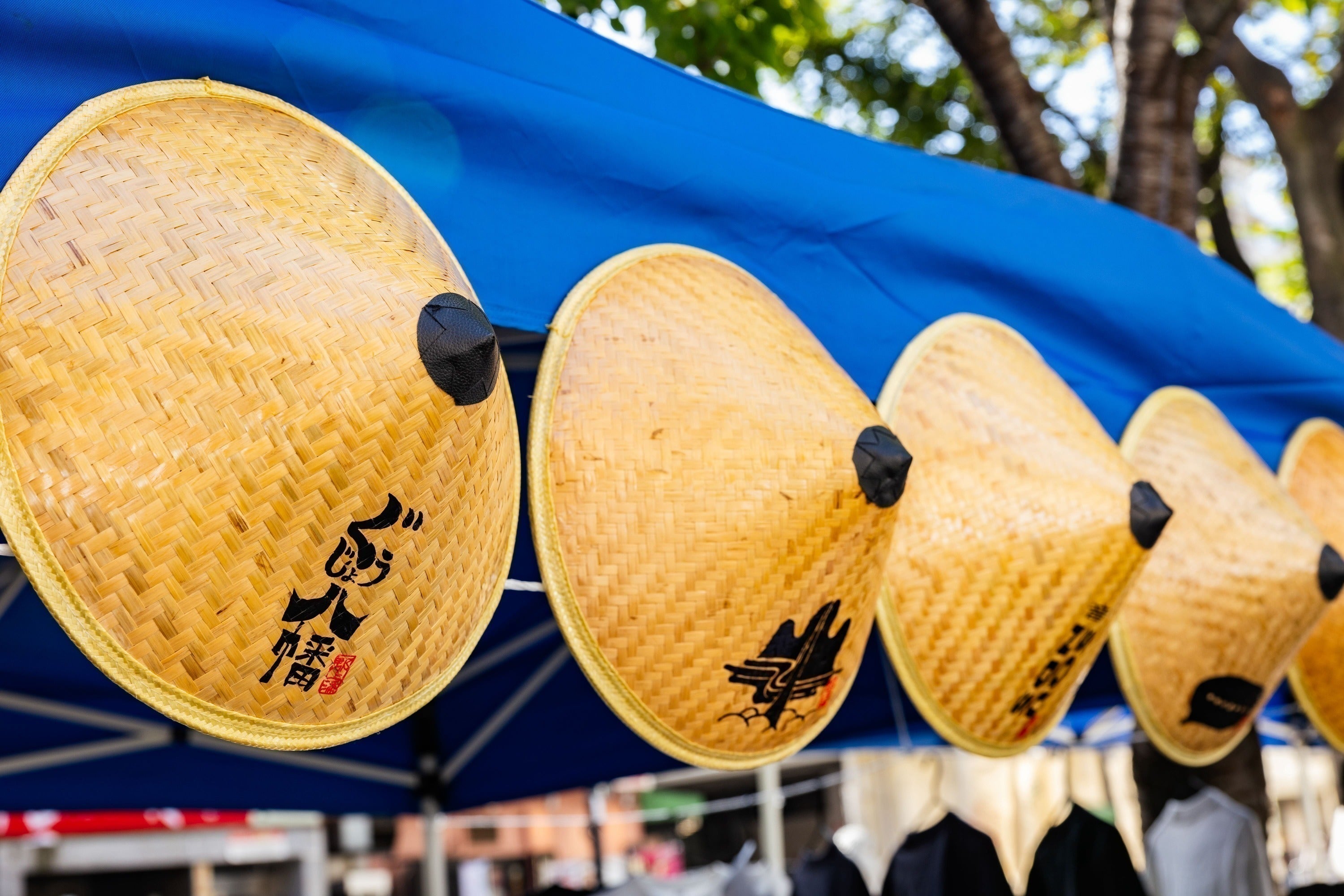 岐阜県郡上市の世界最速！？盆踊り「白鳥おどり」を東京・池袋で今年も
