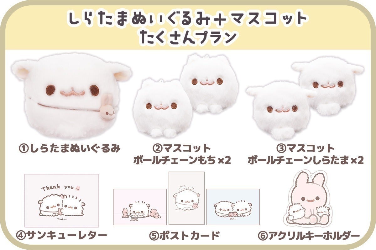支援者一覧 - ポメラニアンもち「しらたま」ぬいぐるみ化プロジェクト