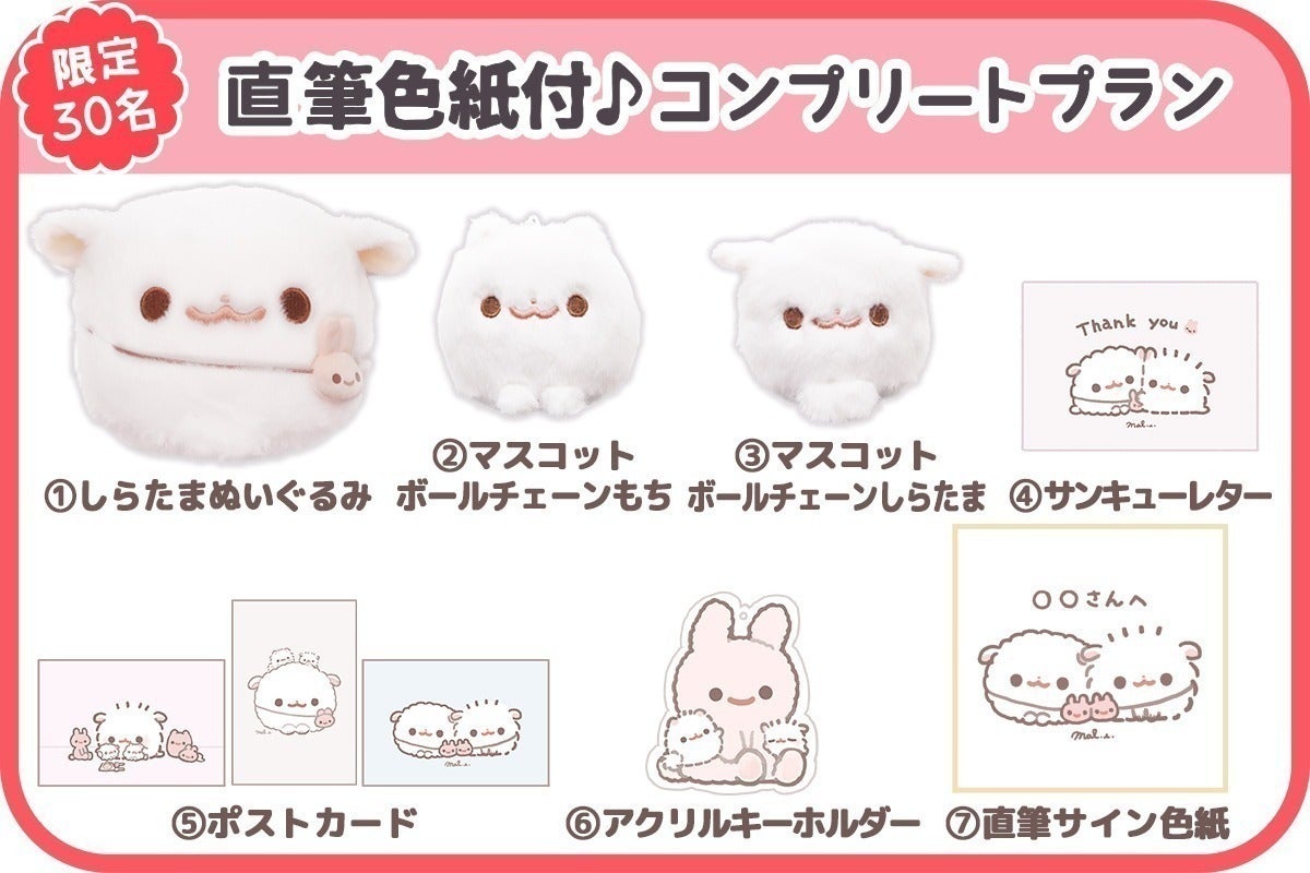 【最終値下げ】ポメラニアンもち クラウドファンディング 直筆サイン色紙 しらたま ポメラニアンもち「しらたま」ぬいぐるみ化プロジェクト - CAMPFIRE