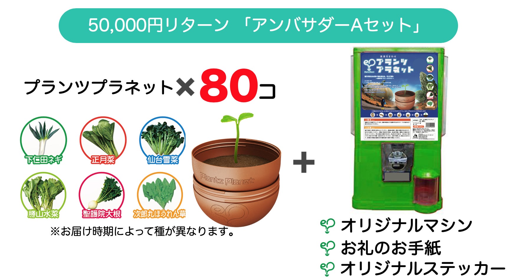 リターン画像