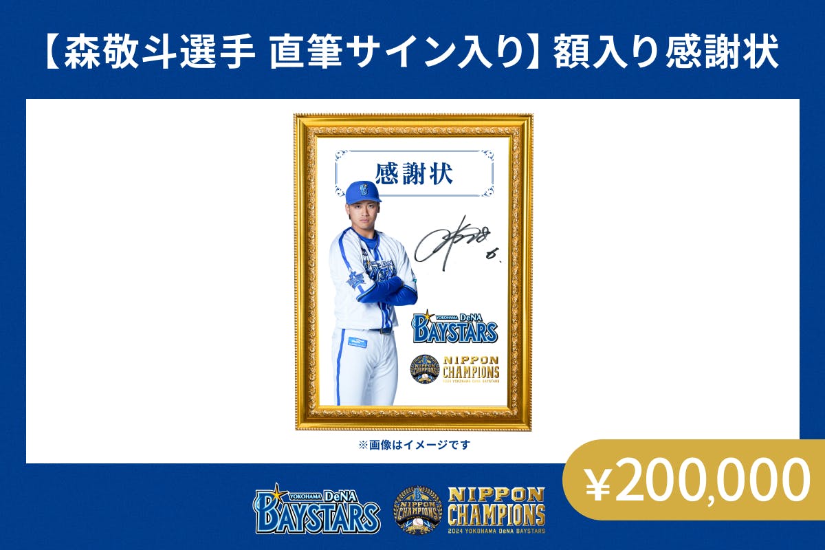 支援者一覧 - 【ファンと共に作る】横浜DeNAベイスターズ日本一
