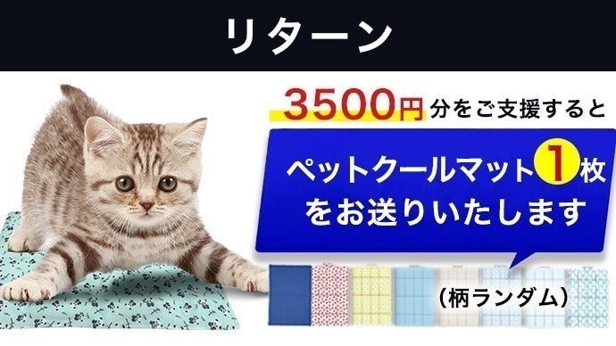 リターン画像