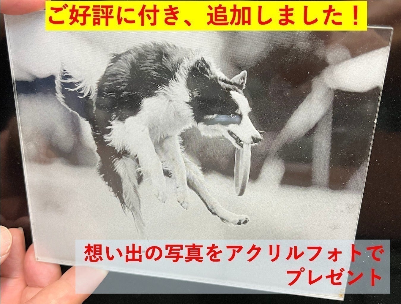 リターン画像