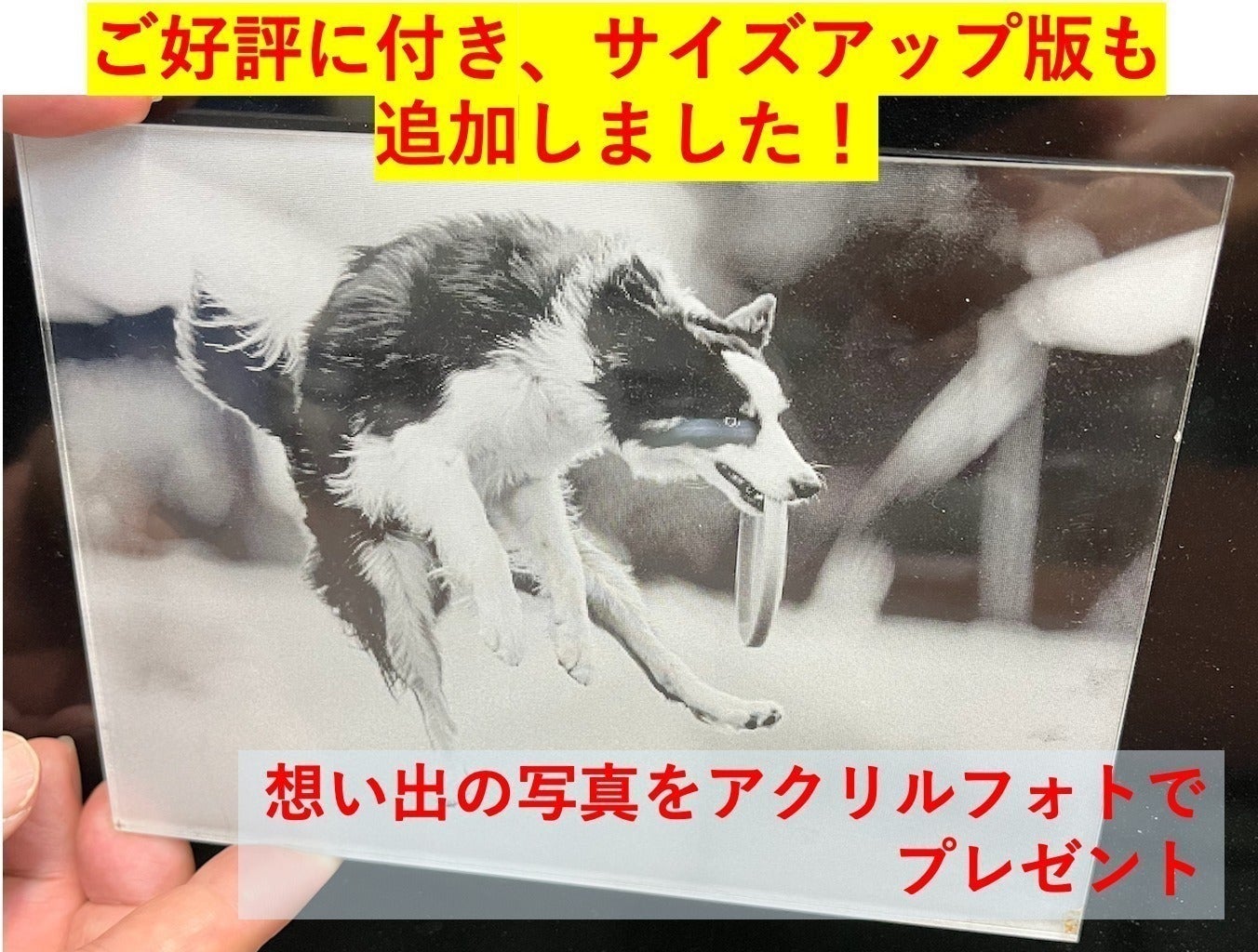 リターン画像