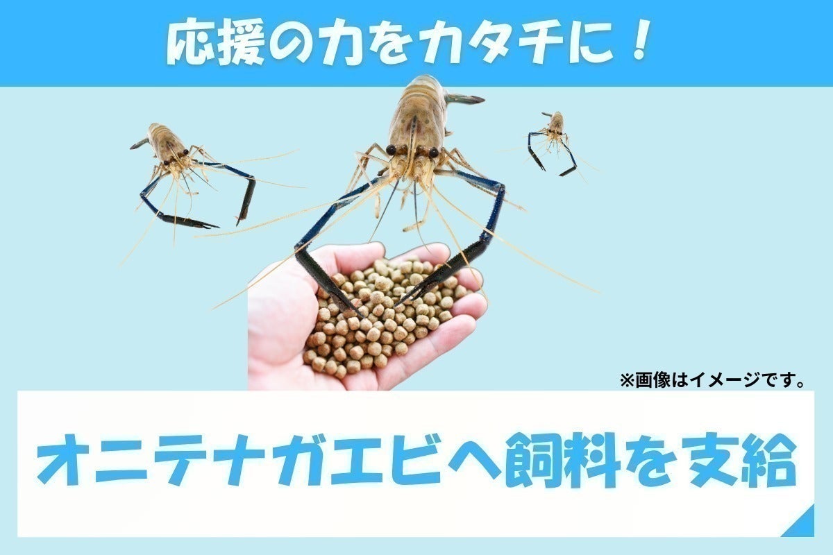 2025年11月、奈良県で特大エビの釣り堀を開きたい! - CAMPFIRE 2025年11月、奈良県で特大エビの釣り堀を開きたい! - CAMPFIRE
