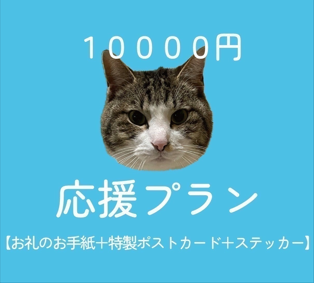 リターン画像
