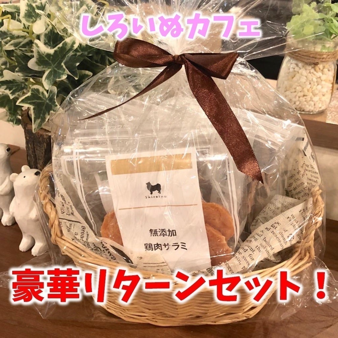 リターン画像
