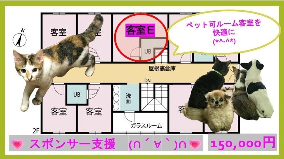 リターン画像