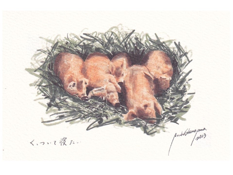 リターン画像