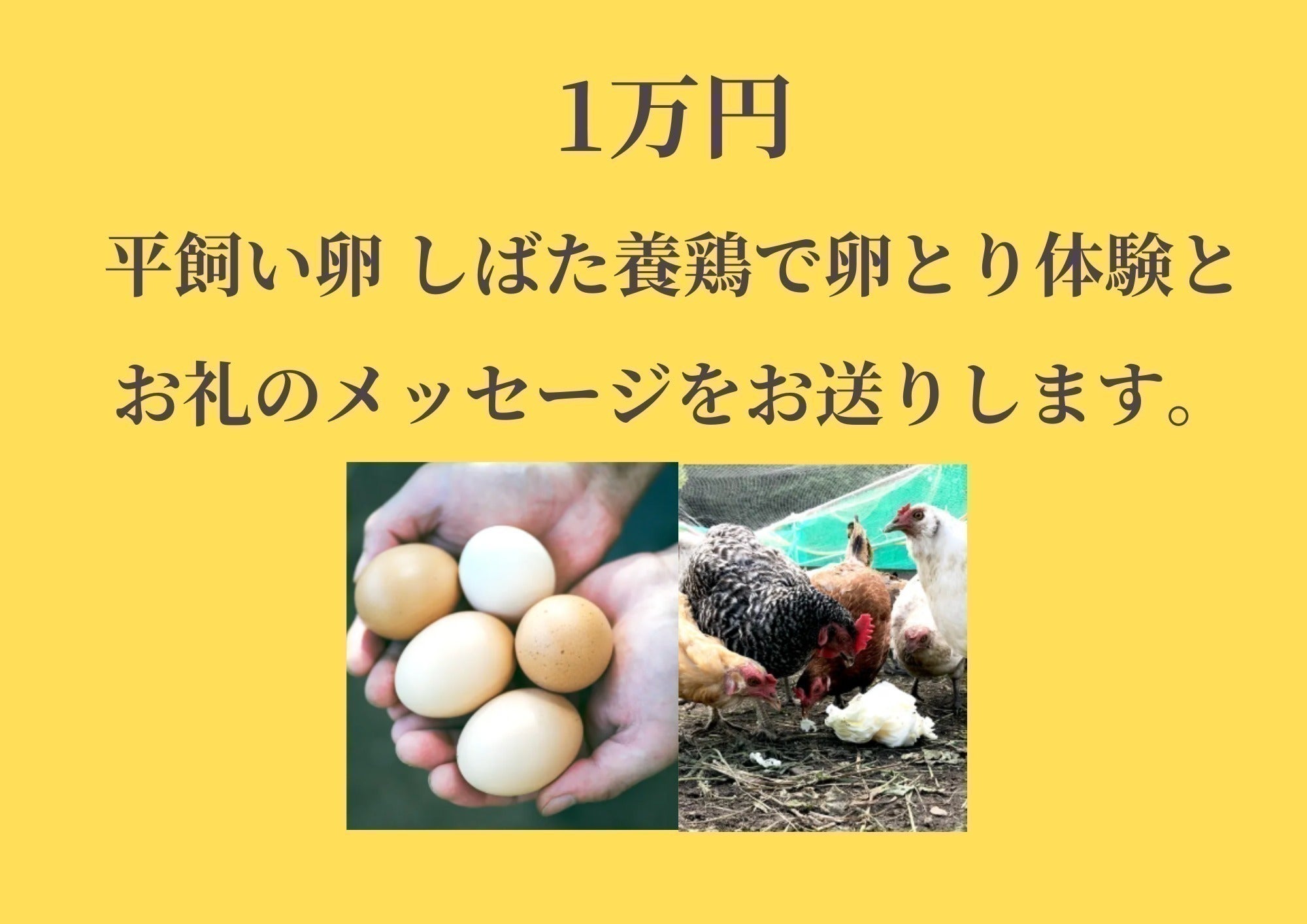 リターン画像
