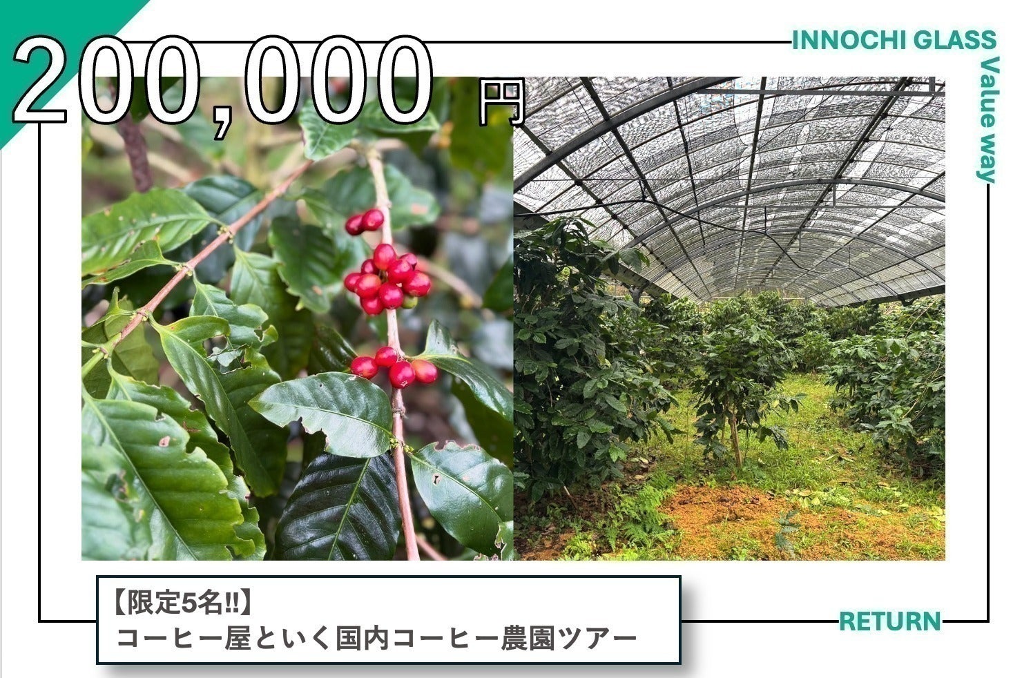 リターン画像