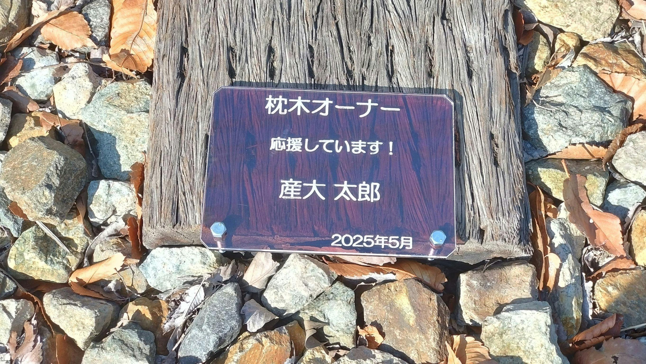 リターン画像