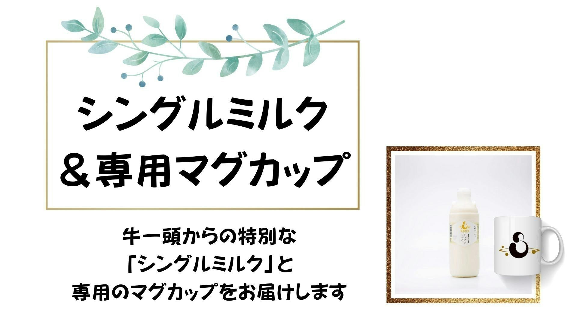 専用出品 投げ捨て