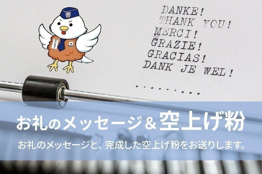 リターン画像