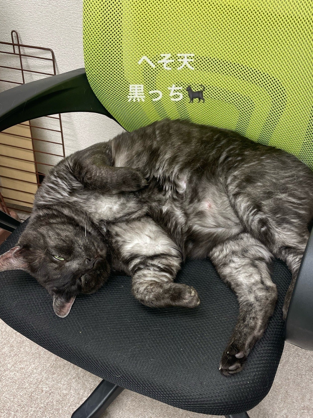 リターン画像