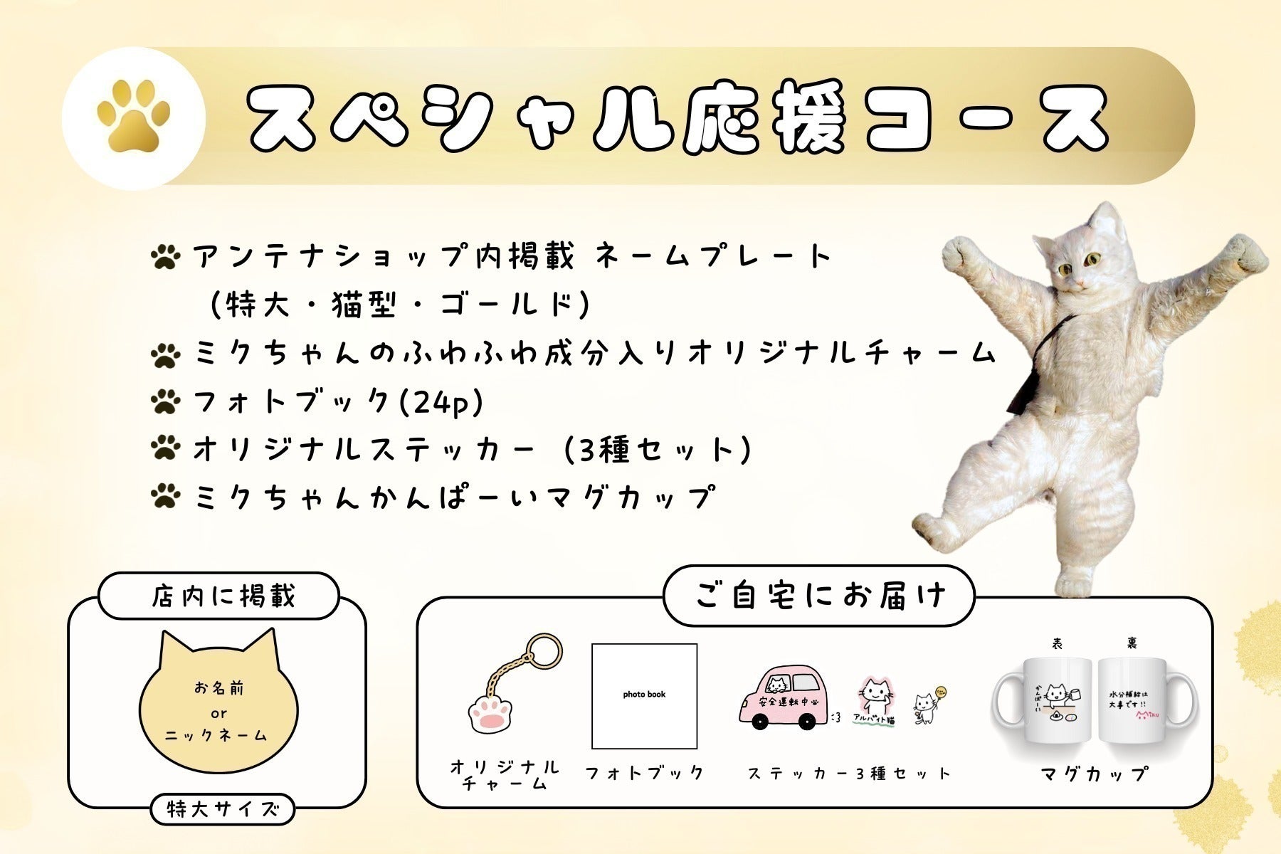 リターン画像