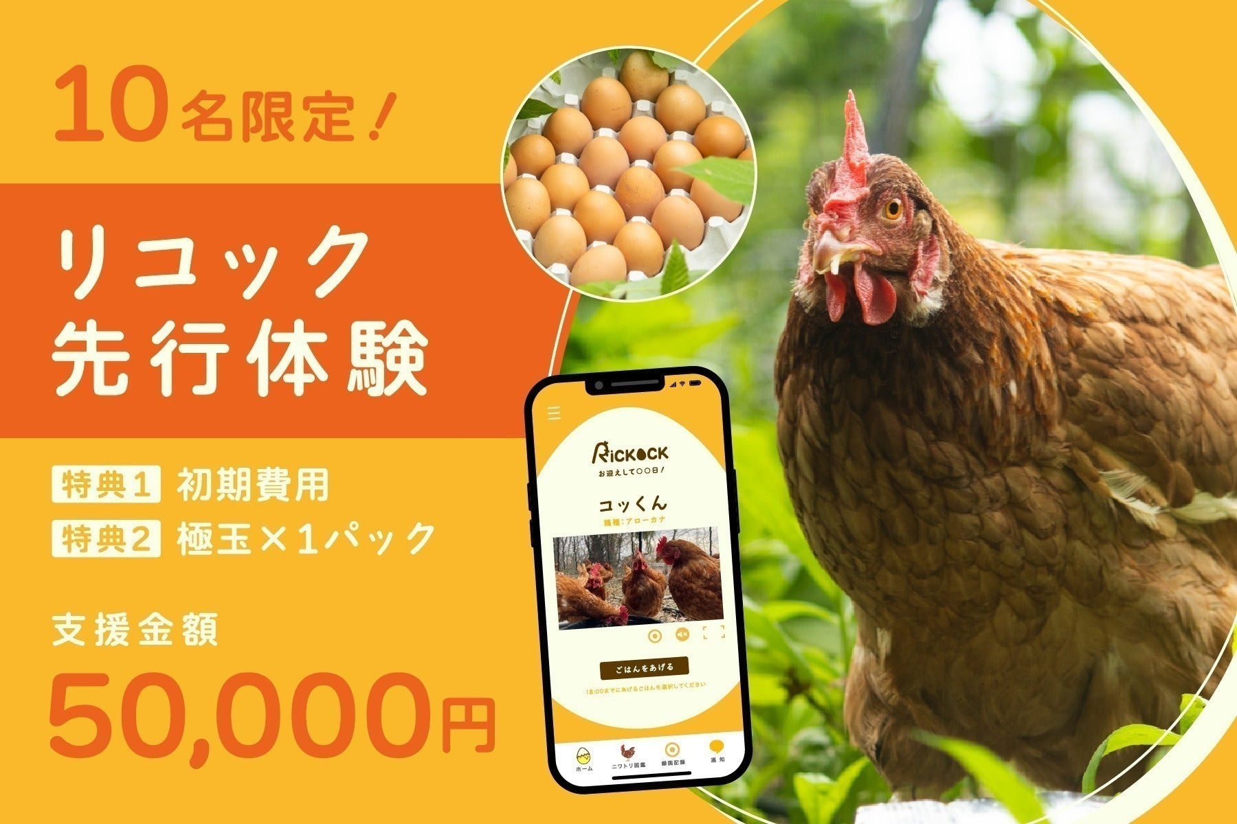 リターン画像