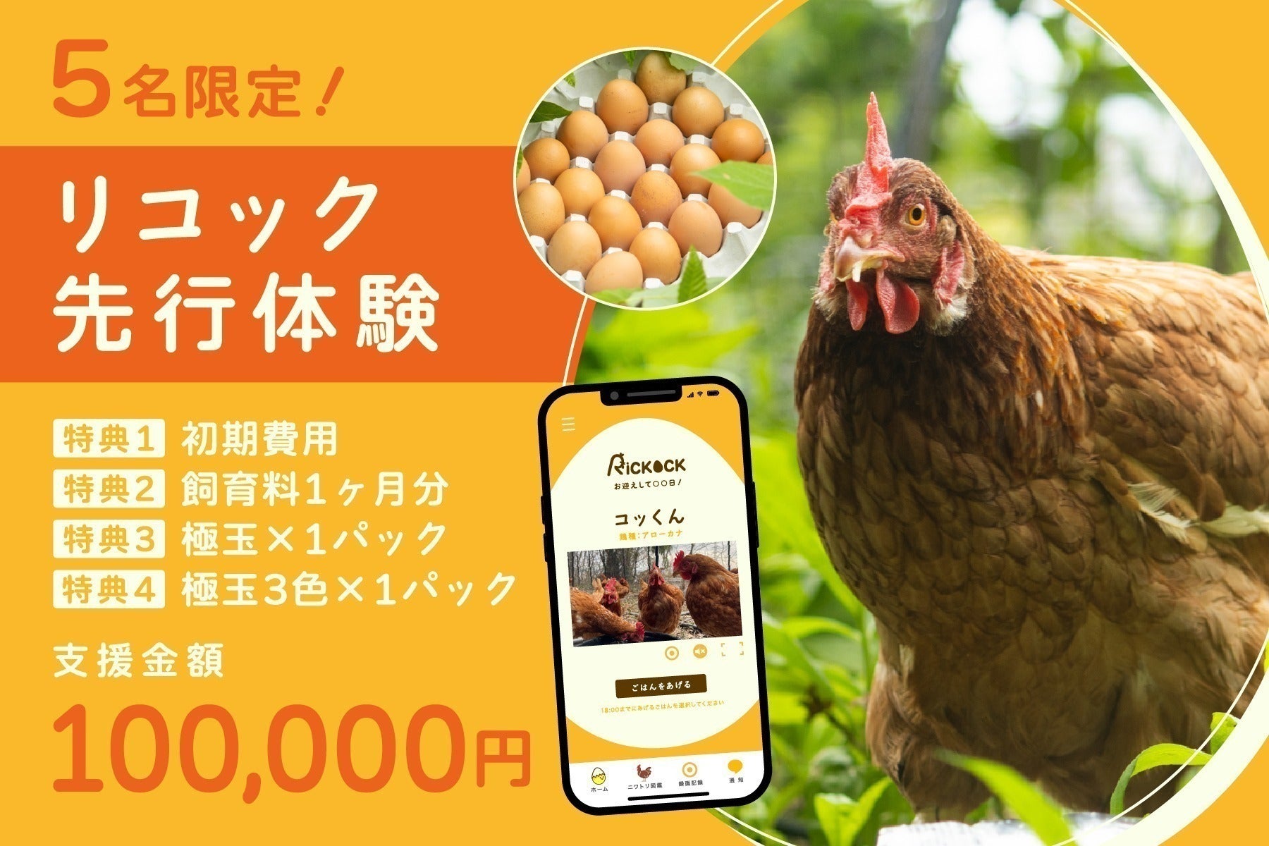 リターン画像