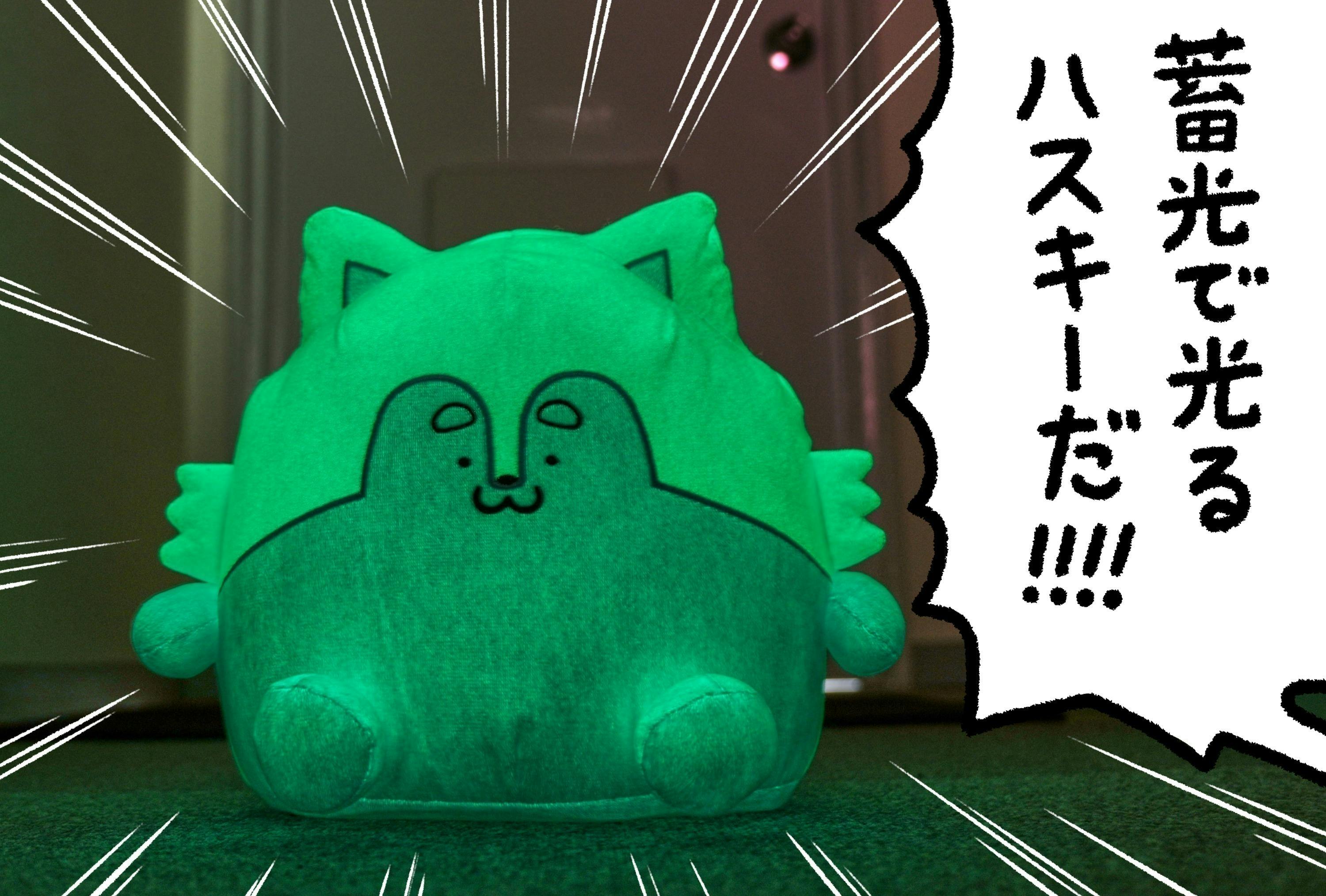 リターン画像