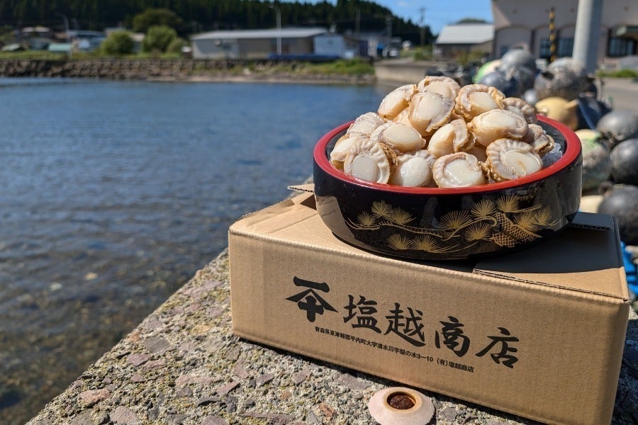 リターン画像