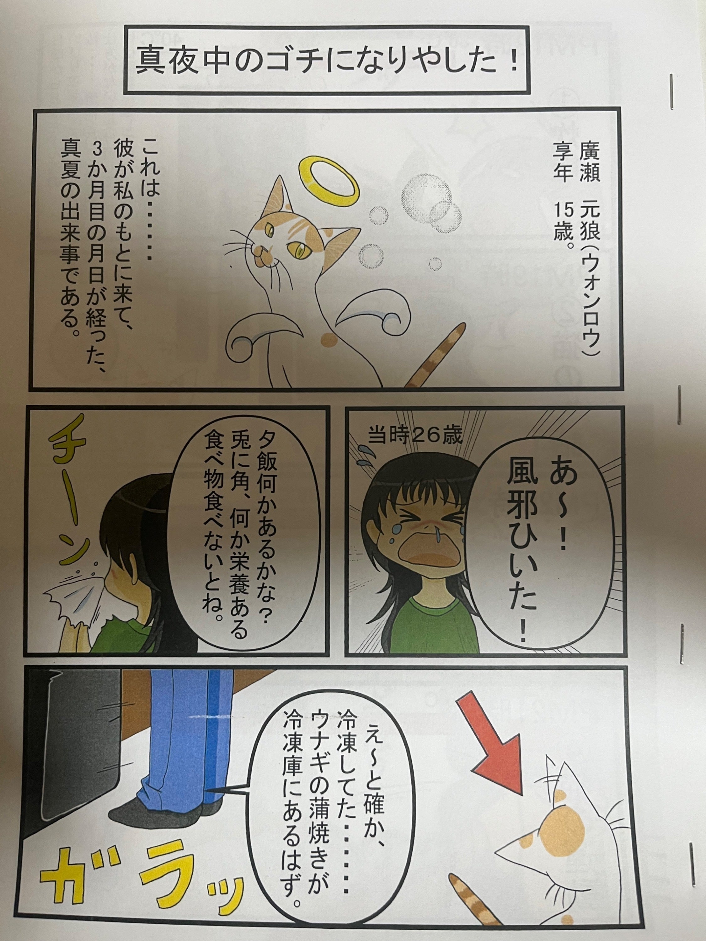 リターン画像