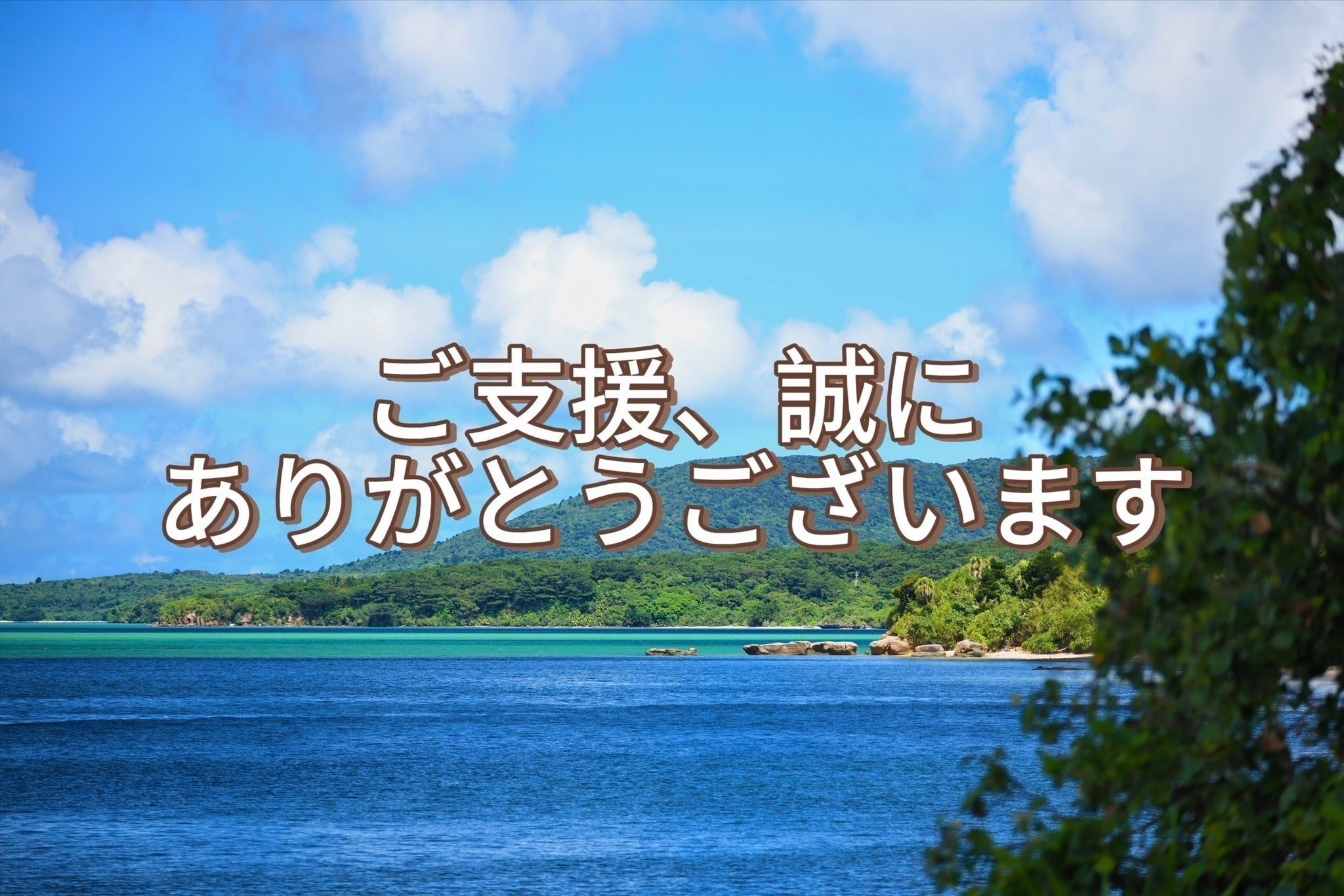 リターン画像