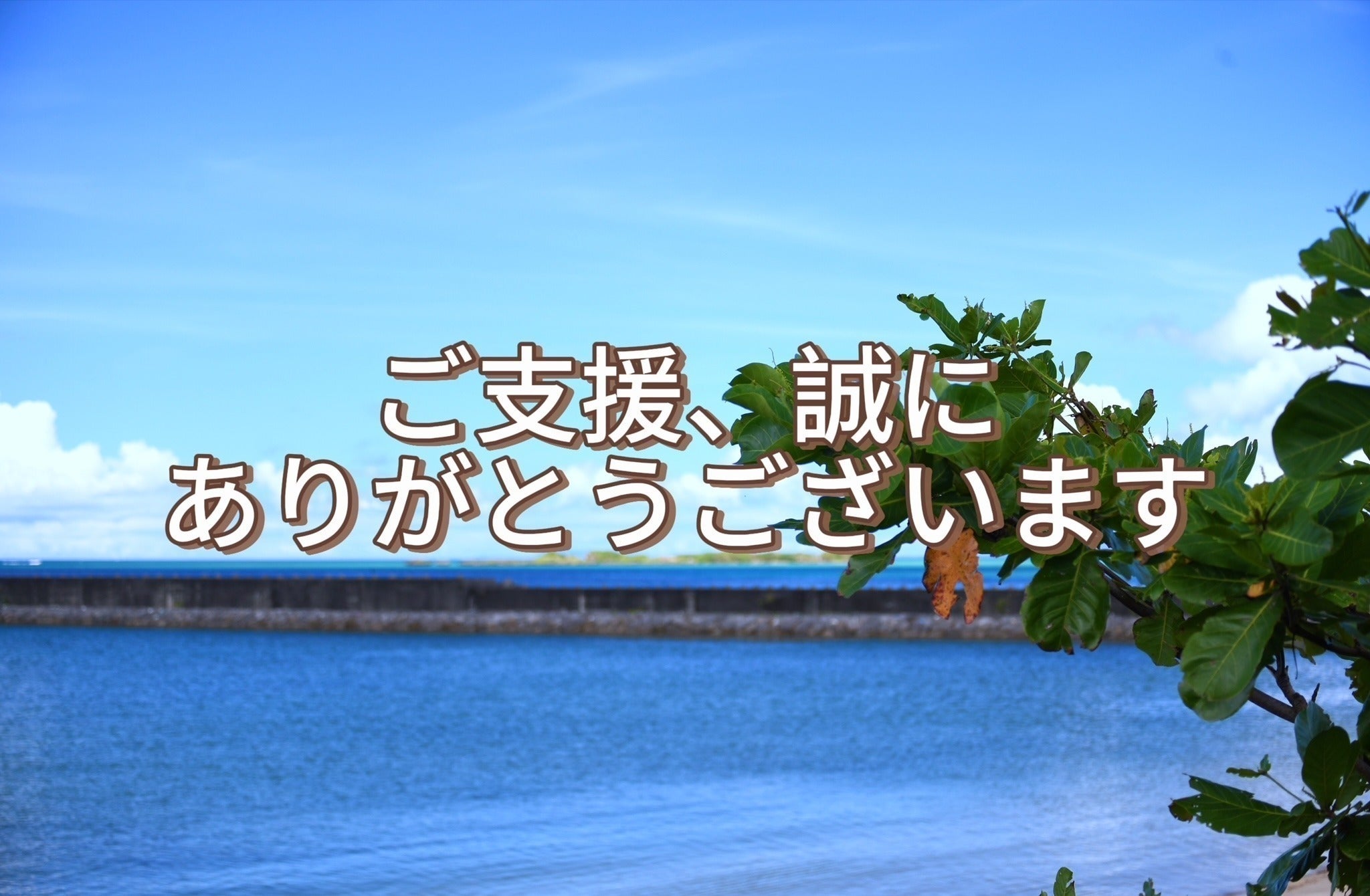 リターン画像