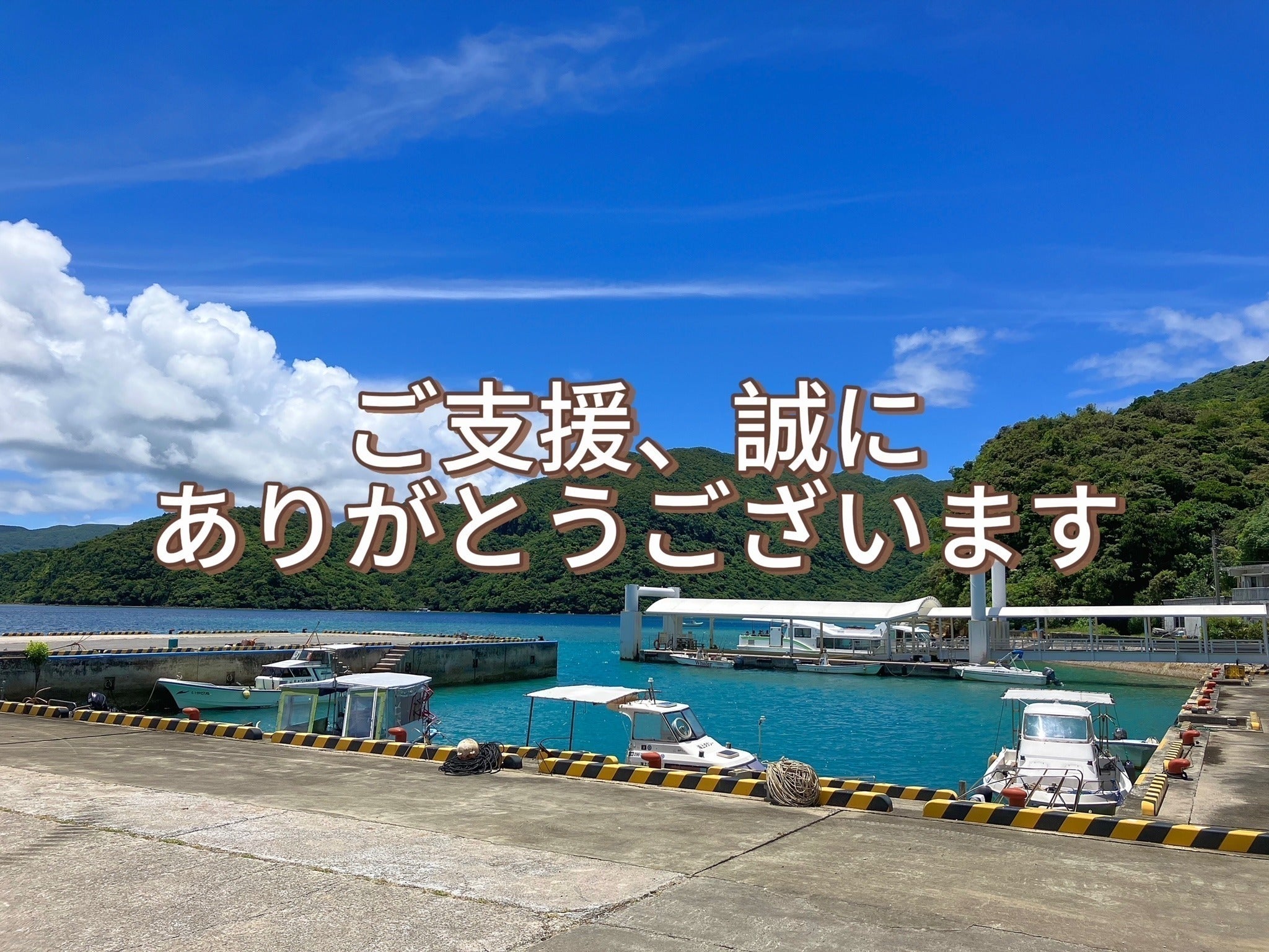 リターン画像