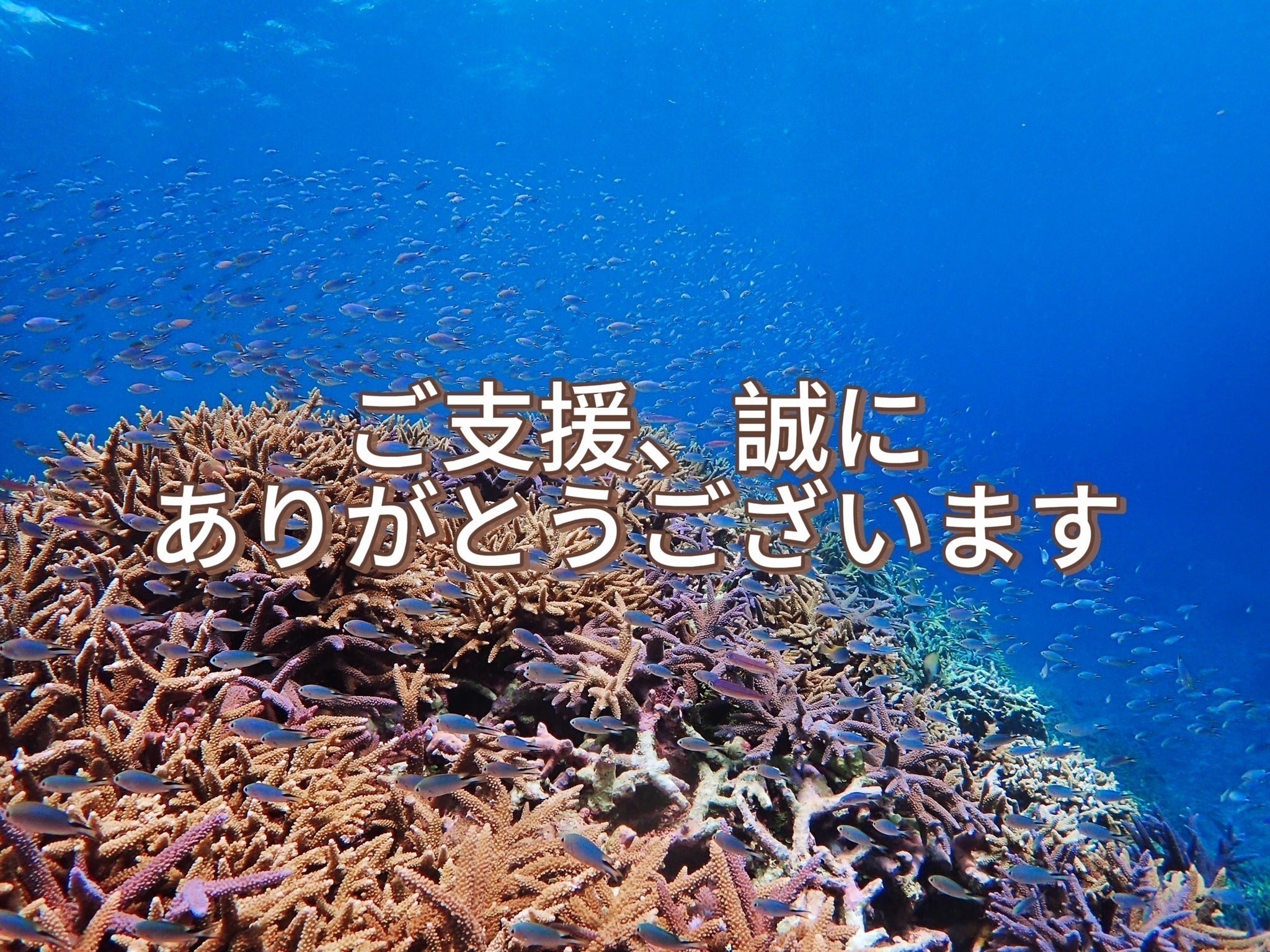 リターン画像