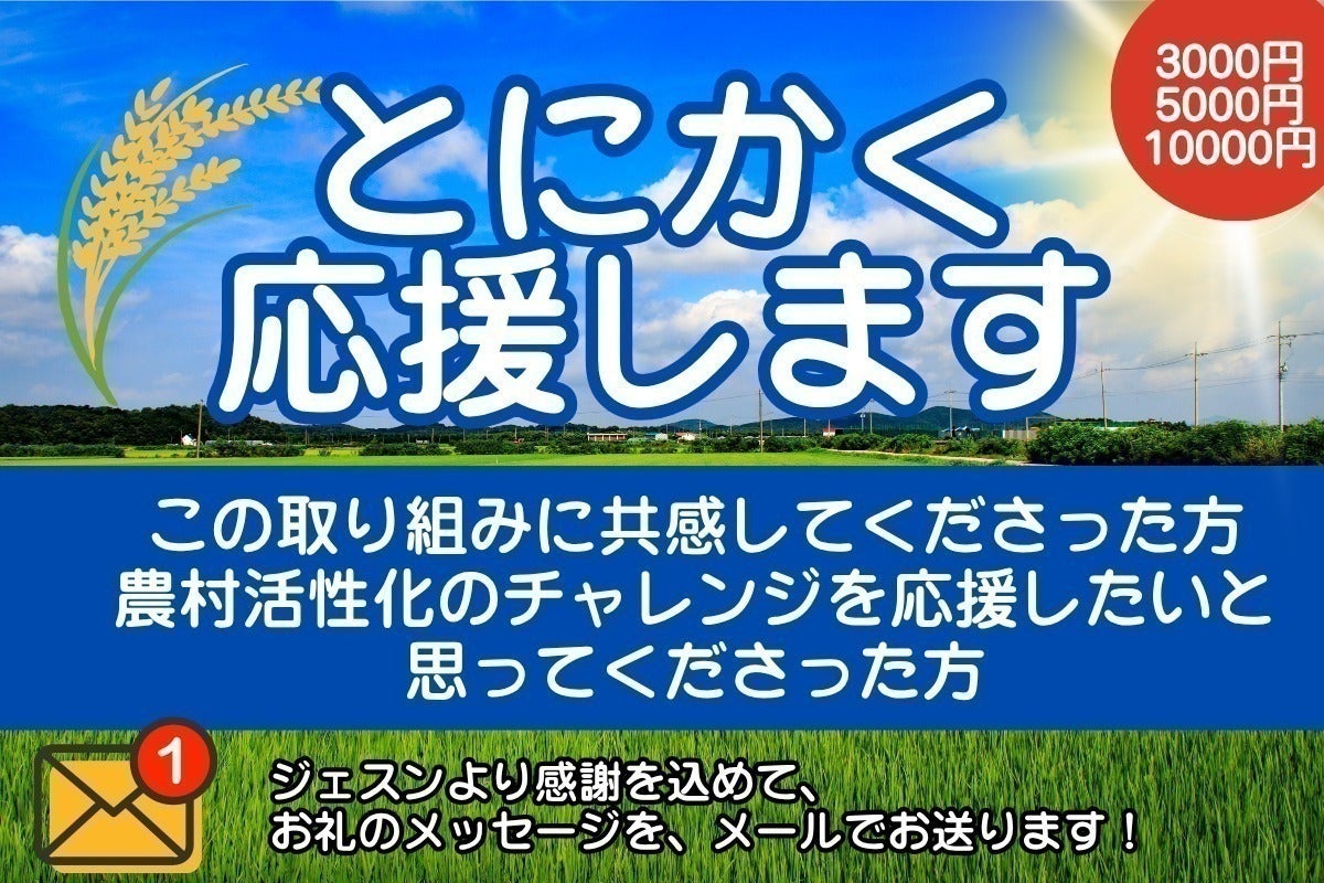 リターン画像