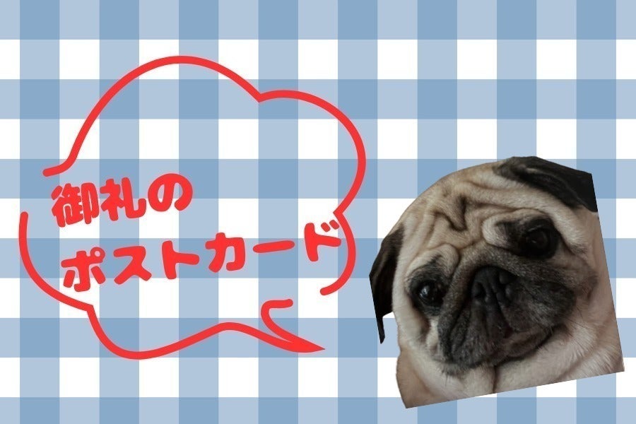 リターン画像