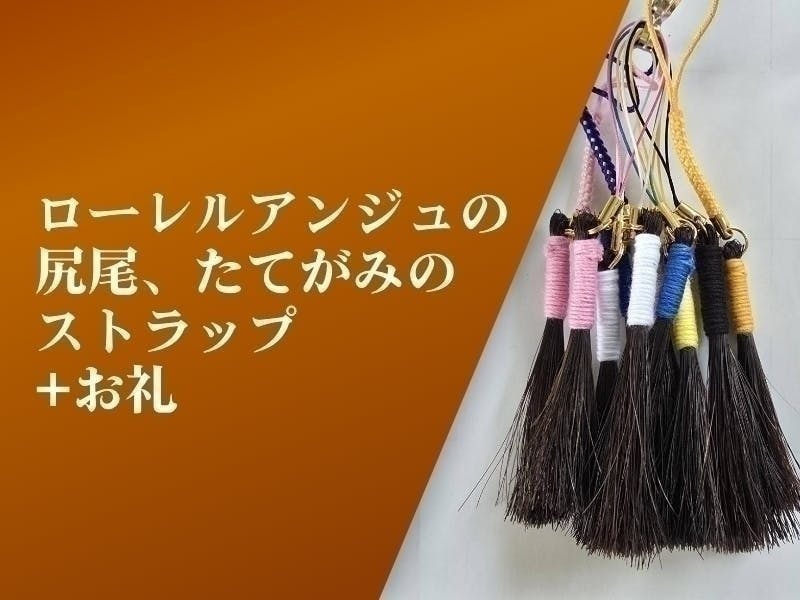 クラウドファンディングの返礼品について - CAMPFIRE (キャンプファイヤー)