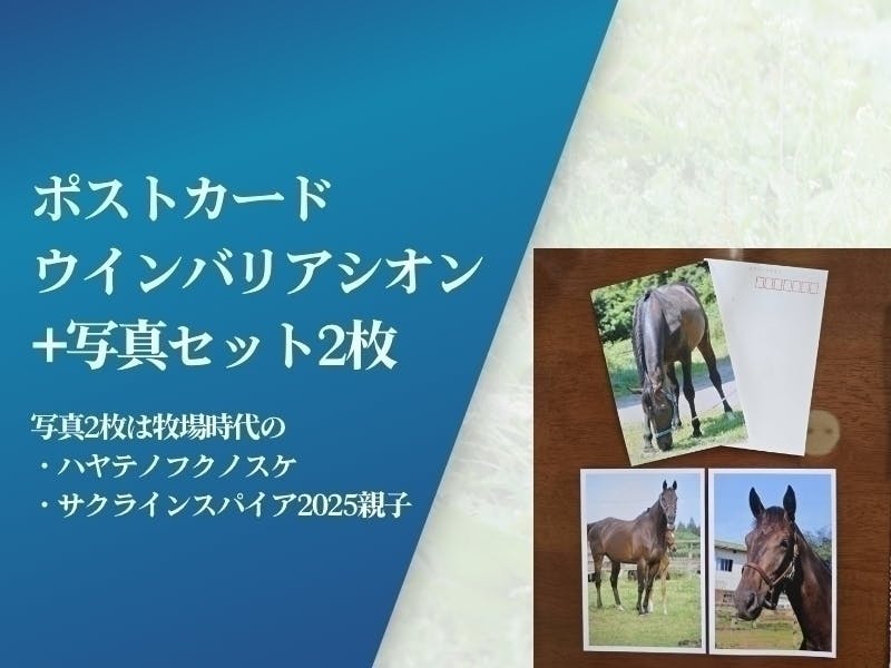 クラウドファンディングの返礼品について - CAMPFIRE (キャンプファイヤー)