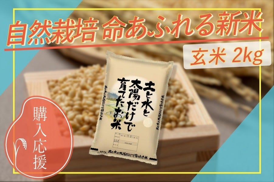 2018年 新米⑤ 山口県産 省農薬 ひとめぼれ 玄米 30kg ご希望あれば