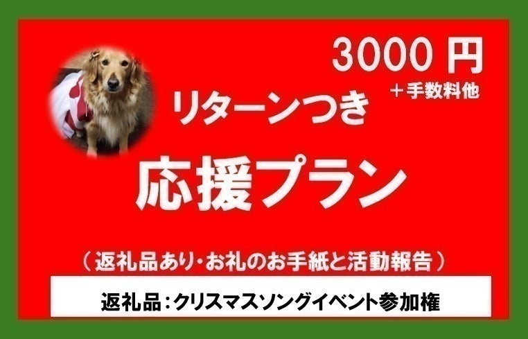 リターン画像