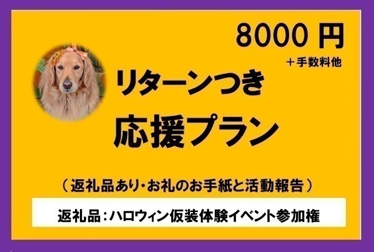 リターン画像
