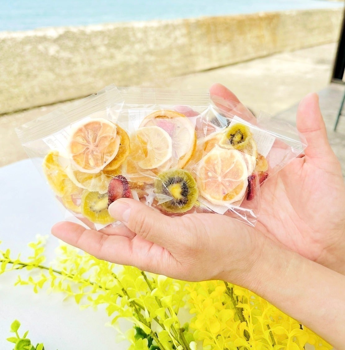 フルーツ酵素シロップ、発酵ドライフルーツをつくって、たくさんの人に