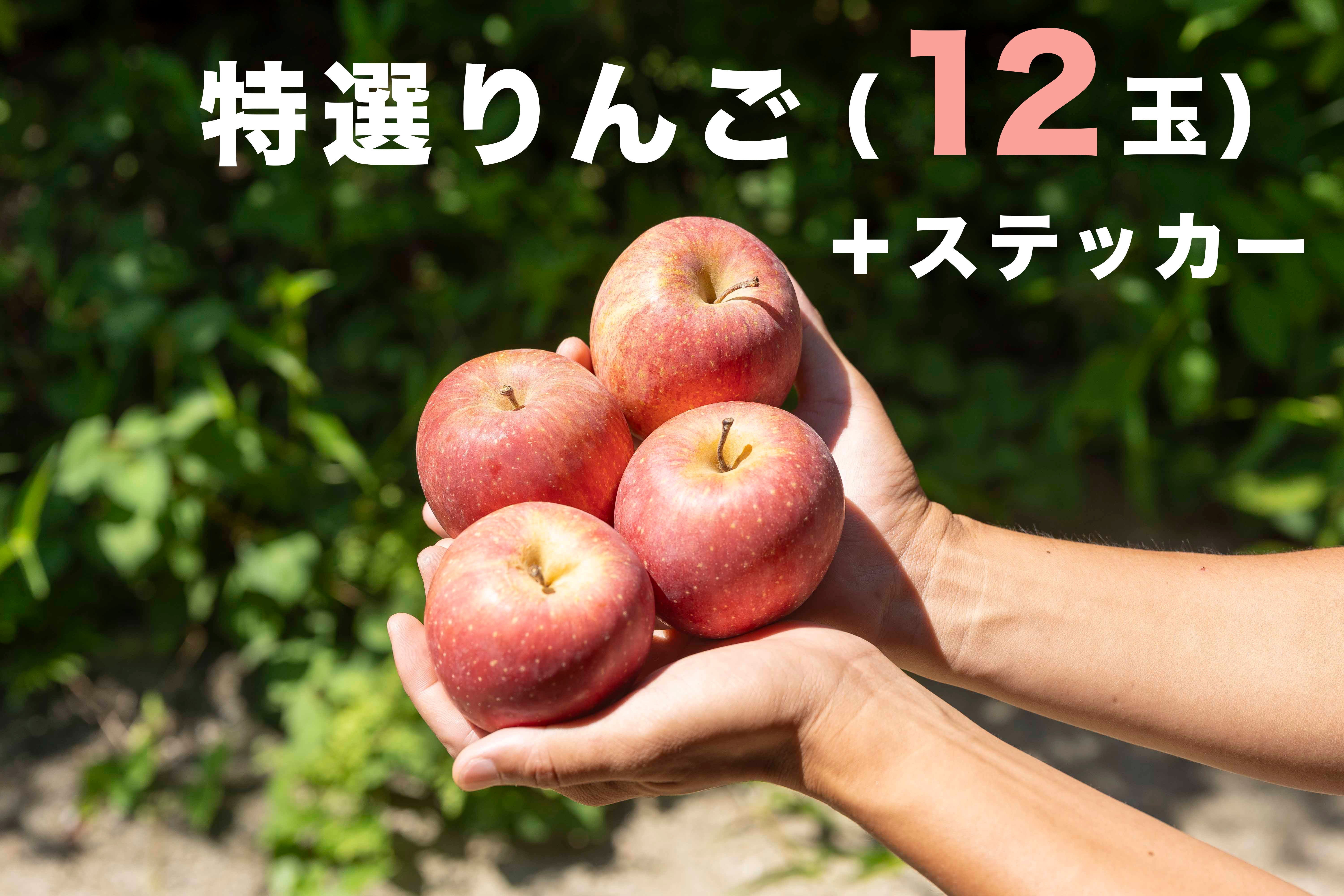 りんご王子、夢のスイーツ工房へ！台湾アップルケーキを全国に届けたい