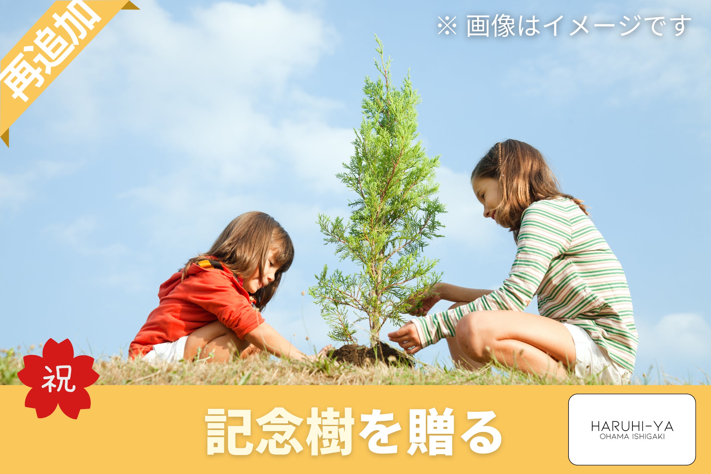 リターン画像