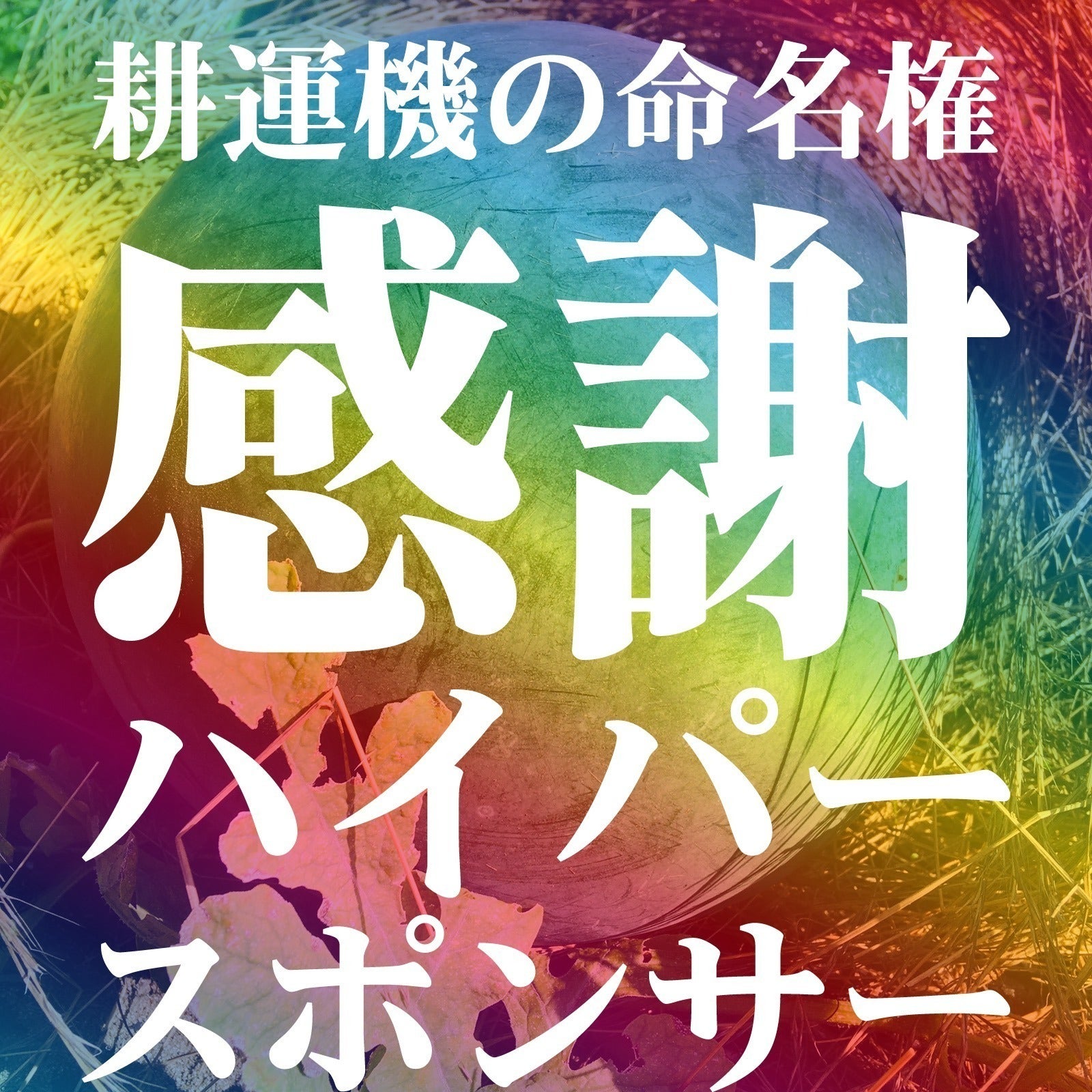 リターン画像