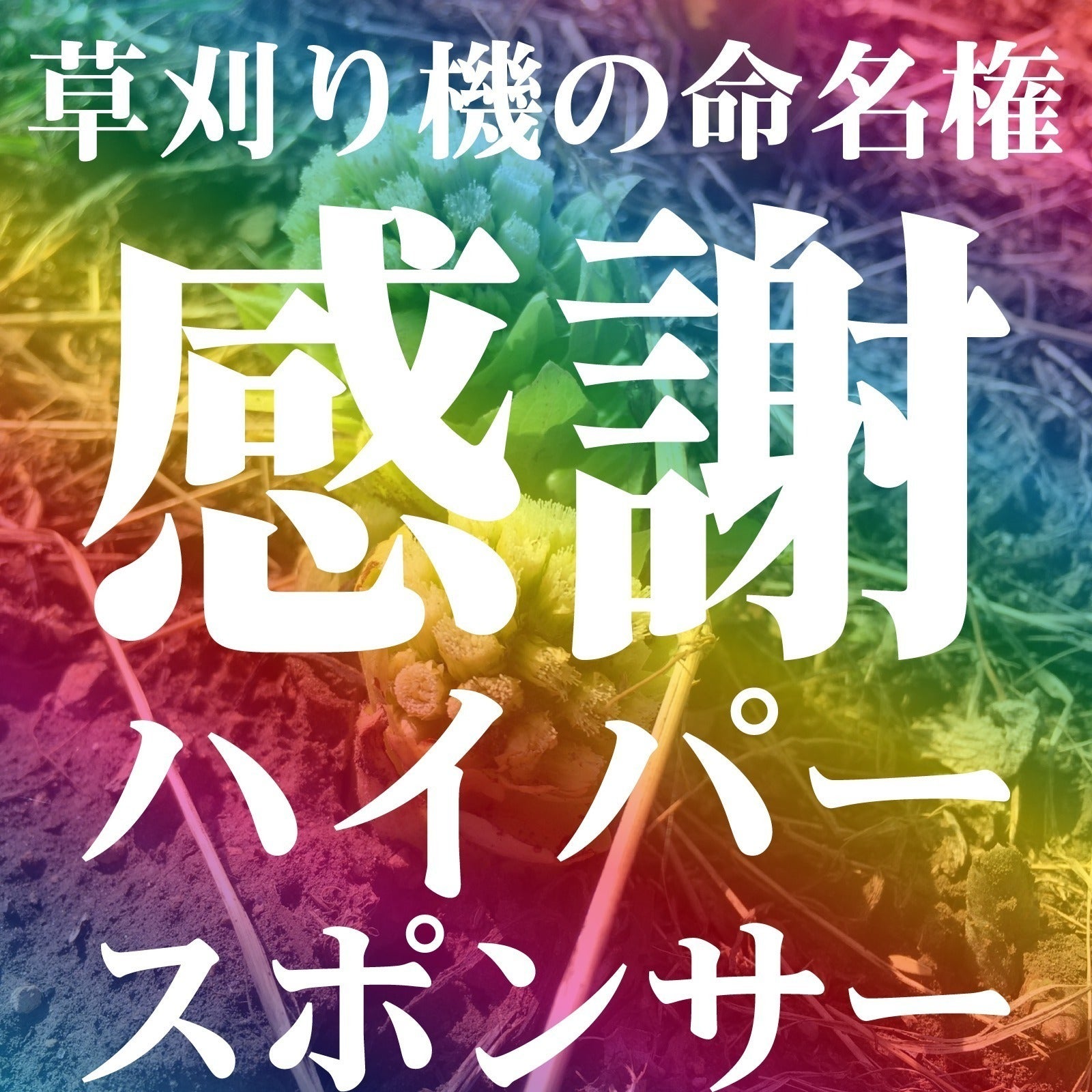 リターン画像