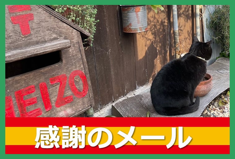 リターン画像
