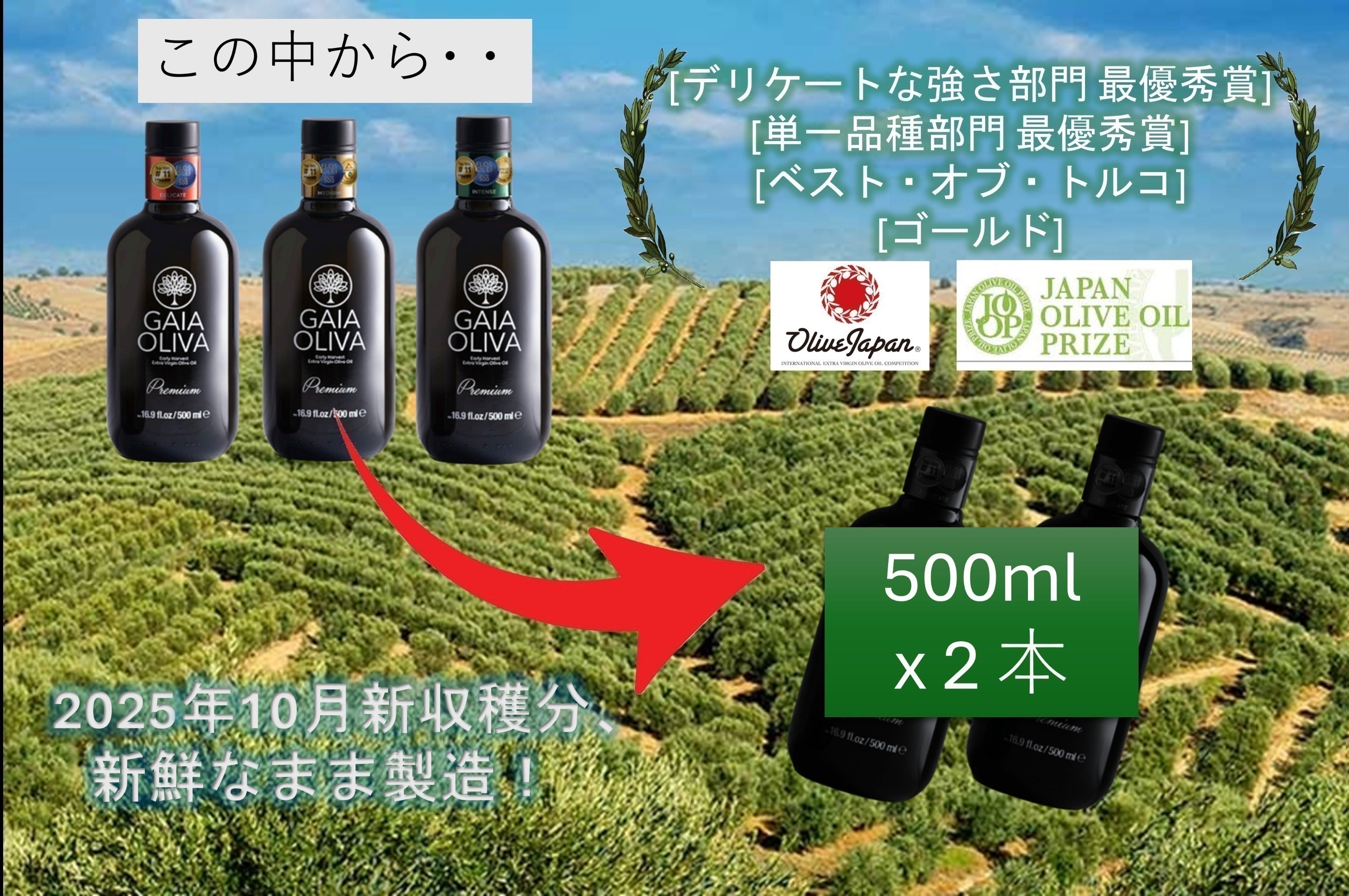 リターン画像