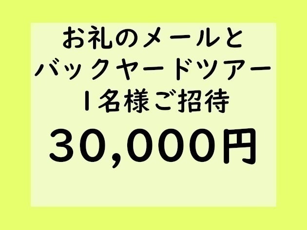 リターン画像