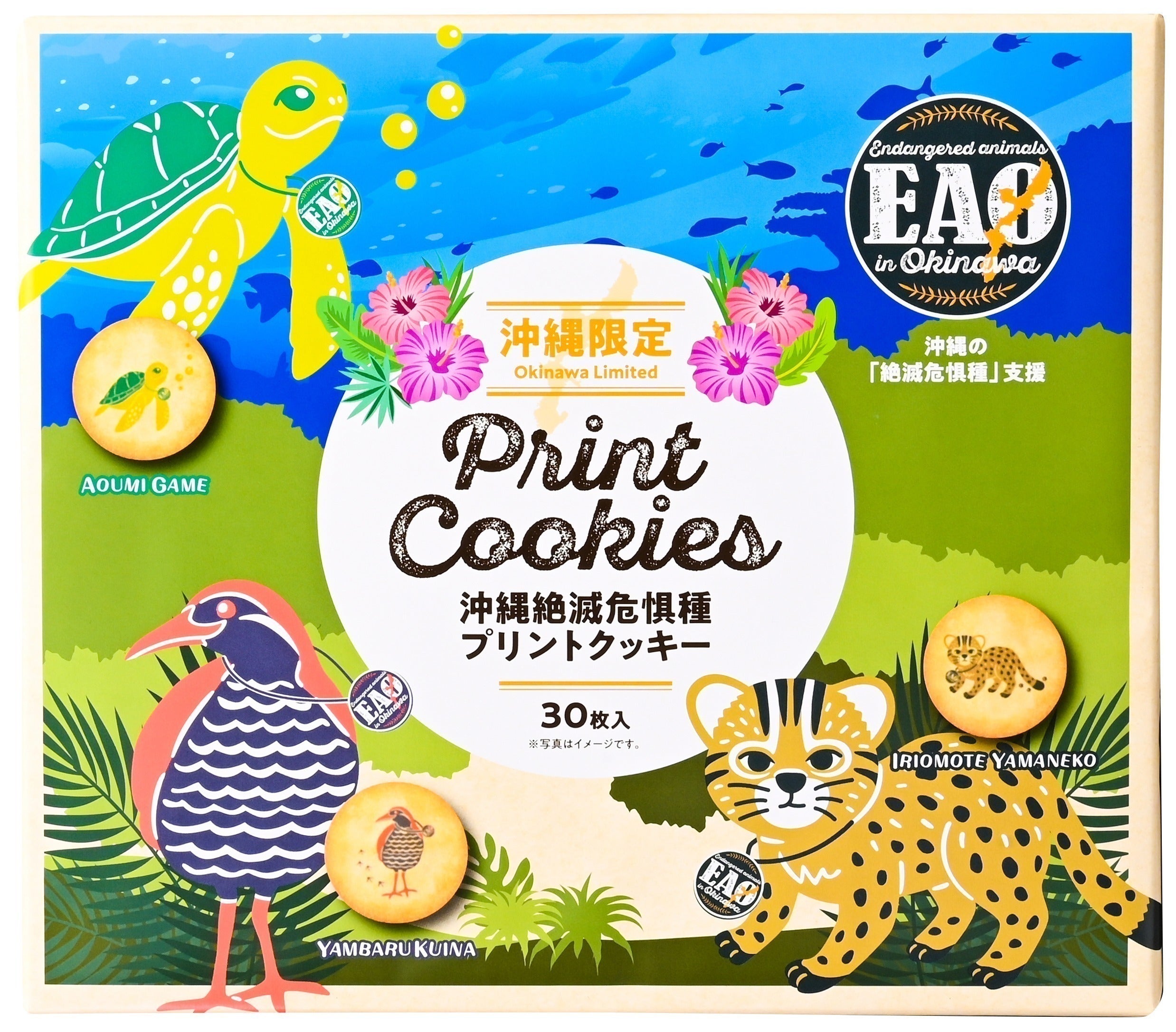 リターン画像